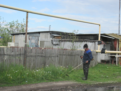 трава 1