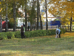 аго2 1