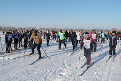 жня1 1