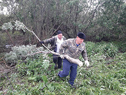 Субботник1 1