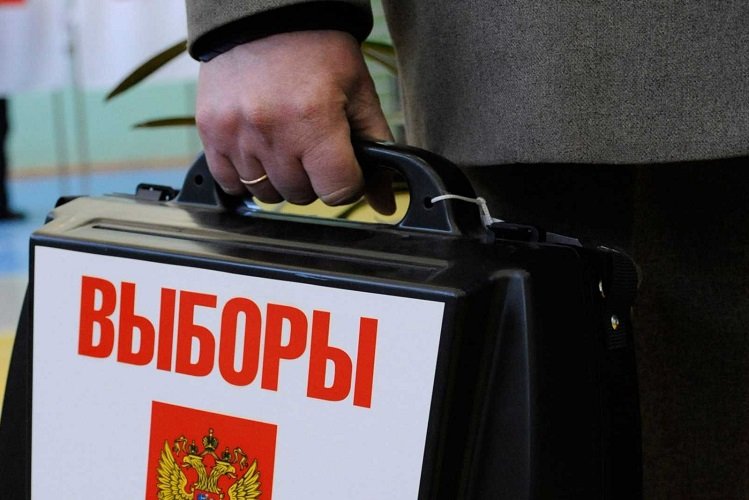 выборы