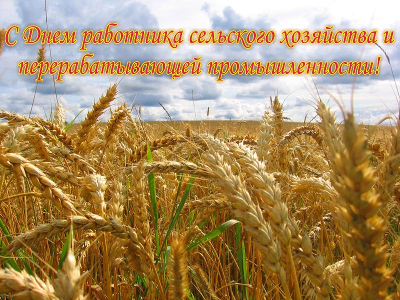 da389f53e45735e0c64651c8ea1a4d45