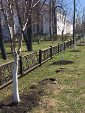В областном 1